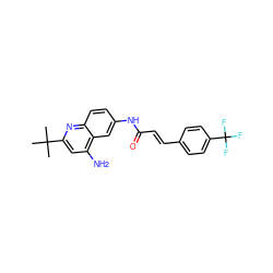 CC(C)(C)c1cc(N)c2cc(NC(=O)/C=C/c3ccc(C(F)(F)F)cc3)ccc2n1 ZINC000034947171