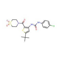 CC(C)(C)c1cc(NC(=O)Nc2ccc(Cl)cc2)c(C(=O)N2CCS(=O)(=O)CC2)s1 ZINC000082151701