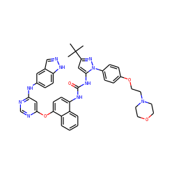 CC(C)(C)c1cc(NC(=O)Nc2ccc(Oc3cc(Nc4ccc5[nH]ncc5c4)ncn3)c3ccccc23)n(-c2ccc(OCCN3CCOCC3)cc2)n1 ZINC000211075531