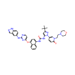 CC(C)(C)c1cc(NC(=O)Nc2ccc(Oc3ccnc(Nc4ccc5[nH]ncc5c4)n3)c3ccccc23)n(-c2ccc(=O)n(CCN3CCOCC3)c2)n1 ZINC000211101607