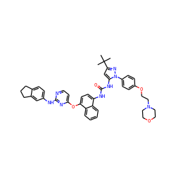 CC(C)(C)c1cc(NC(=O)Nc2ccc(Oc3ccnc(Nc4ccc5c(c4)CCC5)n3)c3ccccc23)n(-c2ccc(OCCN3CCOCC3)cc2)n1 ZINC000211058627