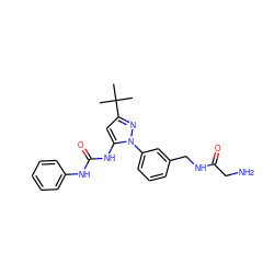 CC(C)(C)c1cc(NC(=O)Nc2ccccc2)n(-c2cccc(CNC(=O)CN)c2)n1 ZINC000058609435