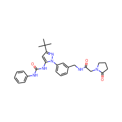 CC(C)(C)c1cc(NC(=O)Nc2ccccc2)n(-c2cccc(CNC(=O)CN3CCCC3=O)c2)n1 ZINC000058506284