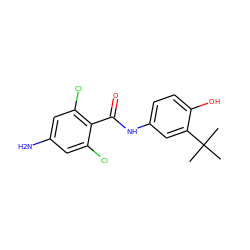 CC(C)(C)c1cc(NC(=O)c2c(Cl)cc(N)cc2Cl)ccc1O ZINC000473116238