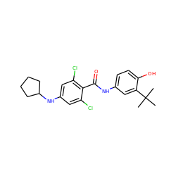 CC(C)(C)c1cc(NC(=O)c2c(Cl)cc(NC3CCCC3)cc2Cl)ccc1O ZINC000473113578