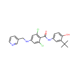 CC(C)(C)c1cc(NC(=O)c2c(Cl)cc(NCc3cccnc3)cc2Cl)ccc1O ZINC000473111311