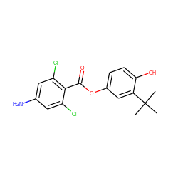 CC(C)(C)c1cc(OC(=O)c2c(Cl)cc(N)cc2Cl)ccc1O ZINC000473115907