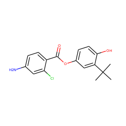 CC(C)(C)c1cc(OC(=O)c2ccc(N)cc2Cl)ccc1O ZINC000473117468