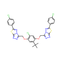 CC(C)(C)c1cc(OCc2nnc3sc(-c4ccc(Cl)cc4)nn23)c(Cl)cc1OCc1nnc2sc(-c3ccc(Cl)cc3)nn12 ZINC000082178494