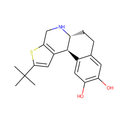 CC(C)(C)c1cc2c(s1)CN[C@@H]1CCc3cc(O)c(O)cc3[C@@H]21 ZINC000013762051