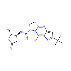 CC(C)(C)c1cc2nc3n(c(O)c-2n1)[C@H](C(=O)N[C@H]1CC(=O)O[C@@H]1O)CC3 ZINC000101032340