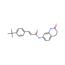 CC(C)(C)c1ccc(/C=C/C(=O)Nc2ccc3c(c2)NC(=O)CC3)cc1 ZINC000013606866