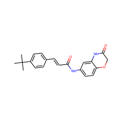 CC(C)(C)c1ccc(/C=C/C(=O)Nc2ccc3c(c2)NC(=O)CO3)cc1 ZINC000013606863