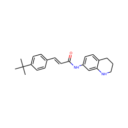 CC(C)(C)c1ccc(/C=C/C(=O)Nc2ccc3c(c2)NCCC3)cc1 ZINC000013606868