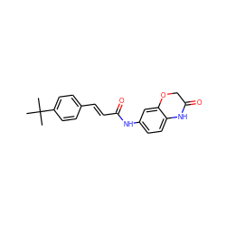 CC(C)(C)c1ccc(/C=C/C(=O)Nc2ccc3c(c2)OCC(=O)N3)cc1 ZINC000013606860