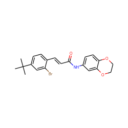 CC(C)(C)c1ccc(/C=C/C(=O)Nc2ccc3c(c2)OCCO3)c(Br)c1 ZINC000013606930