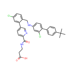 CC(C)(C)c1ccc(-c2ccc(NCc3ccc(Cl)cc3-c3ccc(C(=O)NCCC(=O)O)nc3)cc2Cl)cc1 ZINC000148027229