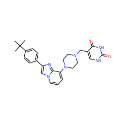 CC(C)(C)c1ccc(-c2cn3cccc(N4CCN(Cc5c[nH]c(=O)[nH]c5=O)CC4)c3n2)cc1 ZINC000034602351