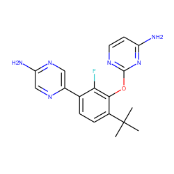 CC(C)(C)c1ccc(-c2cnc(N)cn2)c(F)c1Oc1nccc(N)n1 ZINC000224572053