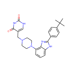 CC(C)(C)c1ccc(-c2nc3c(N4CCN(Cc5c[nH]c(=O)[nH]c5=O)CC4)cccc3[nH]2)cc1 ZINC000040865963