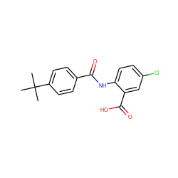 CC(C)(C)c1ccc(C(=O)Nc2ccc(Cl)cc2C(=O)O)cc1 ZINC000013186892