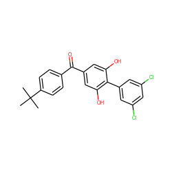 CC(C)(C)c1ccc(C(=O)c2cc(O)c(-c3cc(Cl)cc(Cl)c3)c(O)c2)cc1 ZINC000473090858