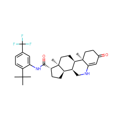 CC(C)(C)c1ccc(C(F)(F)F)cc1NC(=O)[C@H]1CC[C@@H]2[C@@H]3CNC4=CC(=O)CC[C@]4(C)[C@@H]3CC[C@]12C ZINC000028760779