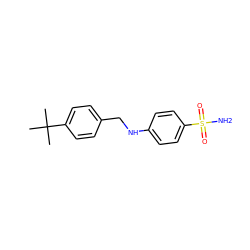 CC(C)(C)c1ccc(CNc2ccc(S(N)(=O)=O)cc2)cc1 ZINC000169343943