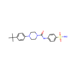 CC(C)(C)c1ccc(N2CCN(C(=O)Nc3ccc(S(N)(=O)=O)cc3)CC2)cc1 ZINC000473083638