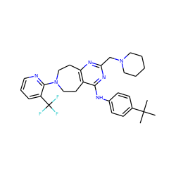 CC(C)(C)c1ccc(Nc2nc(CN3CCCCC3)nc3c2CCN(c2ncccc2C(F)(F)F)CC3)cc1 ZINC000144323625