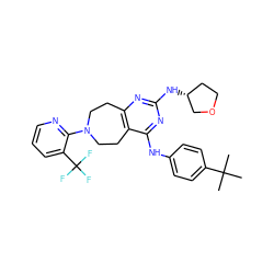 CC(C)(C)c1ccc(Nc2nc(N[C@@H]3CCOC3)nc3c2CCN(c2ncccc2C(F)(F)F)CC3)cc1 ZINC000200430814