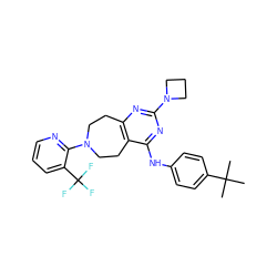 CC(C)(C)c1ccc(Nc2nc(N3CCC3)nc3c2CCN(c2ncccc2C(F)(F)F)CC3)cc1 ZINC000145010251