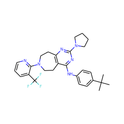 CC(C)(C)c1ccc(Nc2nc(N3CCCC3)nc3c2CCN(c2ncccc2C(F)(F)F)CC3)cc1 ZINC000145185886