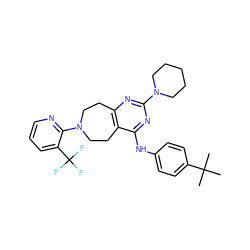 CC(C)(C)c1ccc(Nc2nc(N3CCCCC3)nc3c2CCN(c2ncccc2C(F)(F)F)CC3)cc1 ZINC000144877872