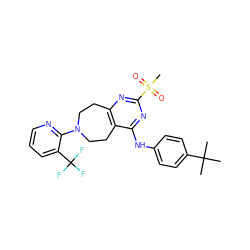 CC(C)(C)c1ccc(Nc2nc(S(C)(=O)=O)nc3c2CCN(c2ncccc2C(F)(F)F)CC3)cc1 ZINC000145105667