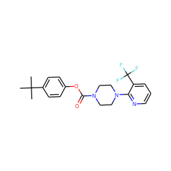 CC(C)(C)c1ccc(OC(=O)N2CCN(c3ncccc3C(F)(F)F)CC2)cc1 ZINC000049021778