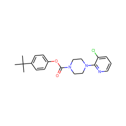 CC(C)(C)c1ccc(OC(=O)N2CCN(c3ncccc3Cl)CC2)cc1 ZINC000049032759