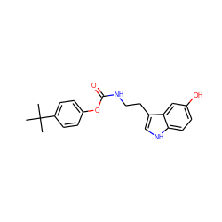 CC(C)(C)c1ccc(OC(=O)NCCc2c[nH]c3ccc(O)cc23)cc1 ZINC000014979772