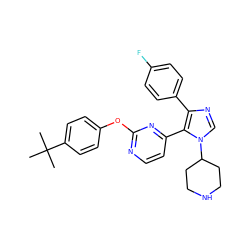 CC(C)(C)c1ccc(Oc2nccc(-c3c(-c4ccc(F)cc4)ncn3C3CCNCC3)n2)cc1 ZINC000036127092