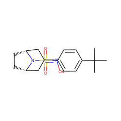 CC(C)(C)c1ccc(S(=O)(=O)N2[C@H]3CC[C@@H]2CC(=NO)C3)cc1 ZINC000049110513