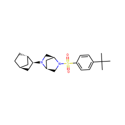 CC(C)(C)c1ccc(S(=O)(=O)N2C[C@@H]3C[C@H]2CN3[C@H]2C[C@H]3CC[C@H]2C3)cc1 ZINC000261082510