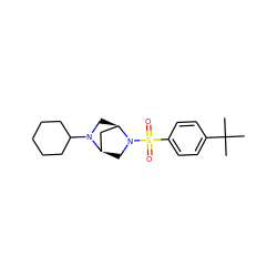 CC(C)(C)c1ccc(S(=O)(=O)N2C[C@@H]3C[C@H]2CN3C2CCCCC2)cc1 ZINC000049046390