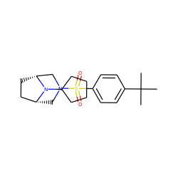 CC(C)(C)c1ccc(S(=O)(=O)N2C[C@@H]3CC[C@H](C2)N3C2CCCC2)cc1 ZINC000049037296