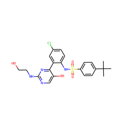 CC(C)(C)c1ccc(S(=O)(=O)Nc2ccc(Cl)cc2-c2nc(NCCO)ncc2O)cc1 ZINC000474609094