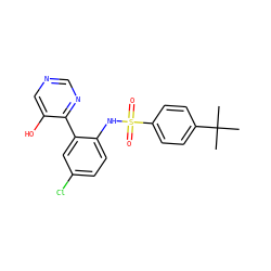 CC(C)(C)c1ccc(S(=O)(=O)Nc2ccc(Cl)cc2-c2ncncc2O)cc1 ZINC000474607978