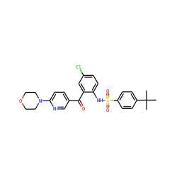 CC(C)(C)c1ccc(S(=O)(=O)Nc2ccc(Cl)cc2C(=O)c2ccc(N3CCOCC3)nc2)cc1 ZINC000113624662
