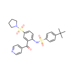 CC(C)(C)c1ccc(S(=O)(=O)Nc2ccc(S(=O)(=O)N3CCCC3)cc2C(=O)c2ccncc2)cc1 ZINC000038662933