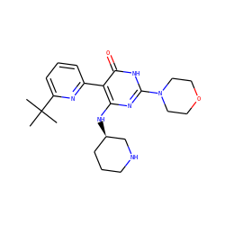 CC(C)(C)c1cccc(-c2c(N[C@@H]3CCCNC3)nc(N3CCOCC3)[nH]c2=O)n1 ZINC001772655986