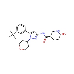 CC(C)(C)c1cccc(-c2cc(NC(=O)[C@@H]3CCC(=O)NC3)nn2C2CCOCC2)c1 ZINC000169707125