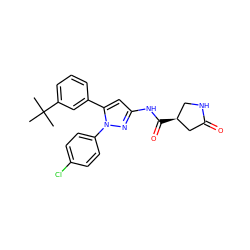 CC(C)(C)c1cccc(-c2cc(NC(=O)[C@H]3CNC(=O)C3)nn2-c2ccc(Cl)cc2)c1 ZINC000169707092